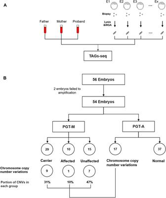 Simultaneous detection of genomic imbalance in patients receiving preimplantation genetic testing for monogenic diseases (PGT-M)